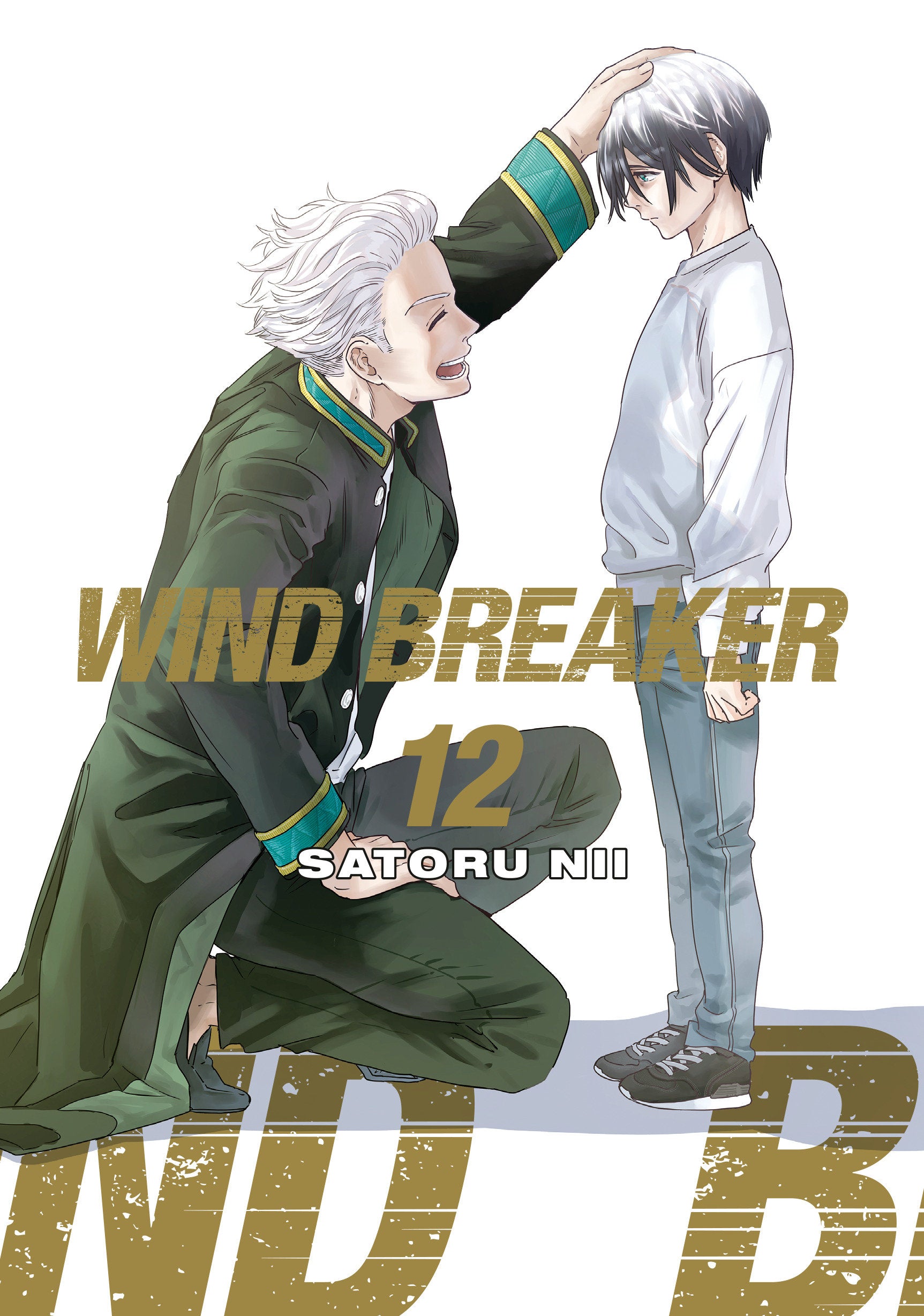 Wind Breaker Volume 12 | Dragon's Lair Comics and Fantasy Houston TX
