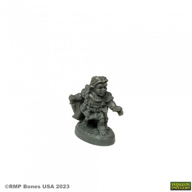 Reaper Dungeon Dwellers: Molly Copperpot, Thief | Dragon's Lair Comics and Fantasy Houston TX