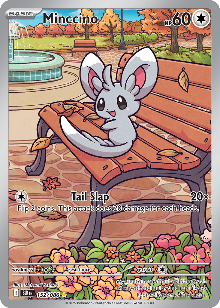 Minccino (182/162) [Scarlet & Violet: Temporal Forces] | Odin's Place