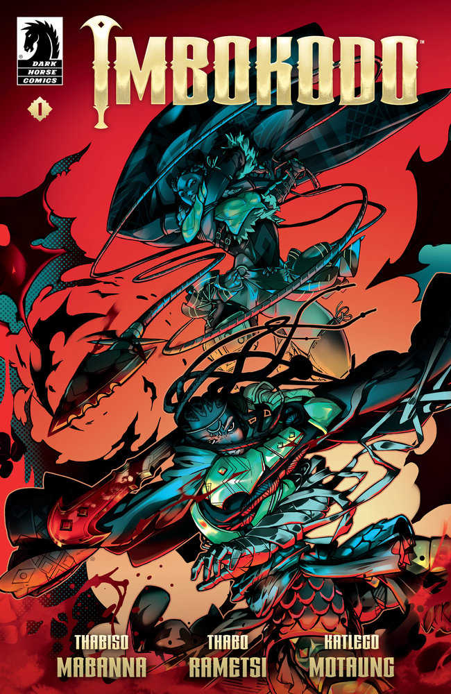 Imbokodo #1 | Dragon's Lair Comics and Fantasy Houston TX