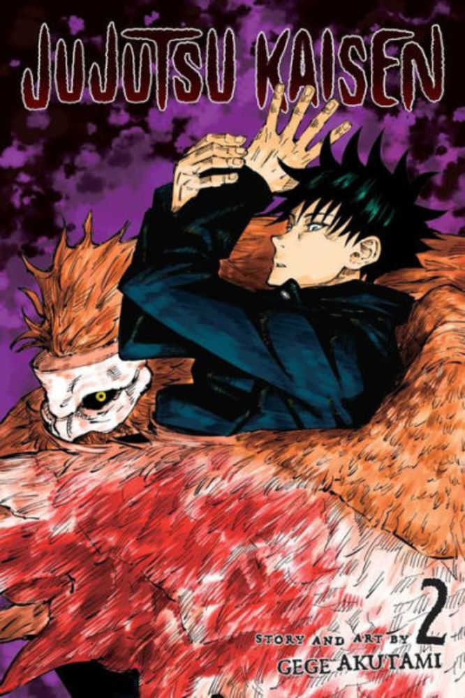 Jujutsu Kaisen Graphic Novel Volume 02 | Dragon's Lair Comics and Fantasy Houston TX