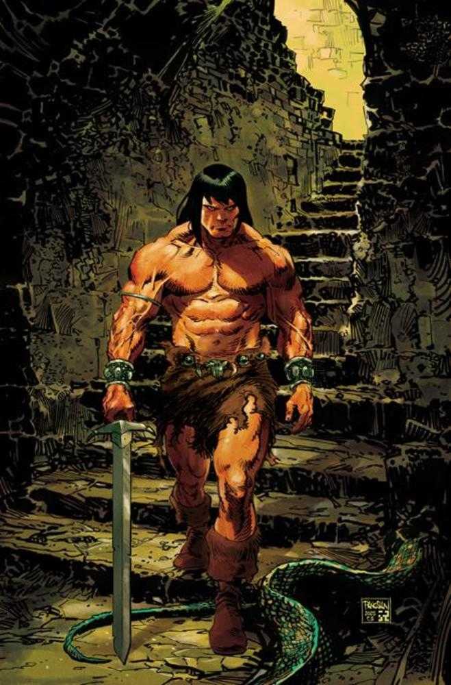 Conan The Barbarian #24 Cover E Dan Panosian Full Art Variant (Mature) | Dragon's Lair Comics and Fantasy Houston TX