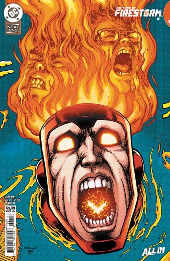 Fury Of Firestorm #1 (Of 6) Cover C Chris Burnham Card Stock Variant | Odin's Place