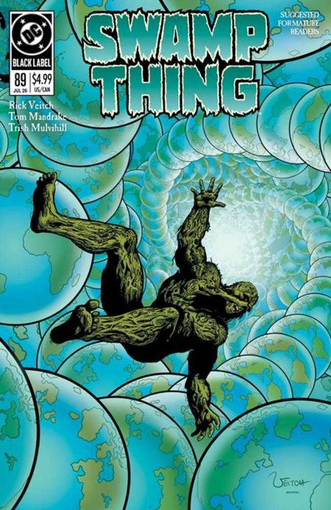 Swamp Thing 1989 #2 (Of 4) Cover A Rick Veitch (Mature) | Odin's Place