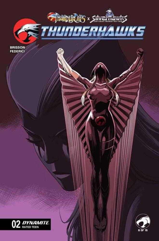 Thundercats X Silverhawks Thunderhawks #2 Cover C Marco Failla Variant | Odin's Place