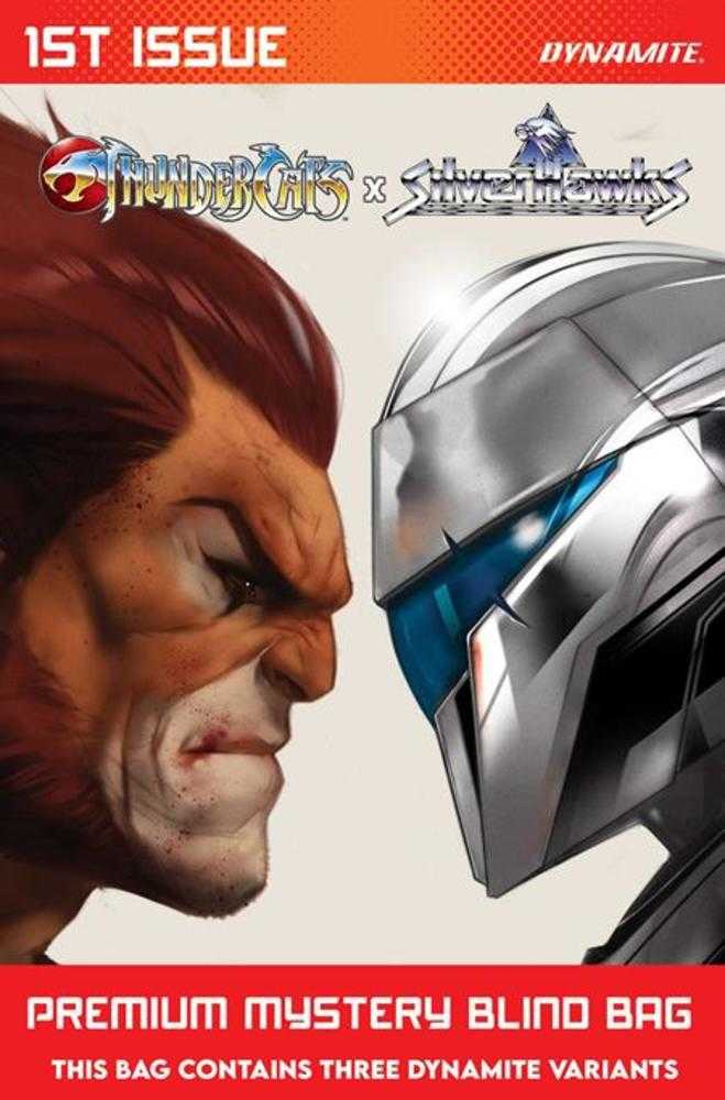Thundercats X Silverhawks #1 Cover S Premium Blind Bag Variant | Odin's Place