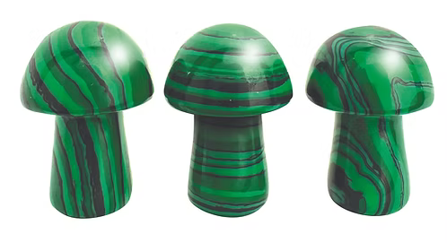 Stat Trackers: ‘Shrooms (D&D / Fantasy RPG accessory) | Odin's Place