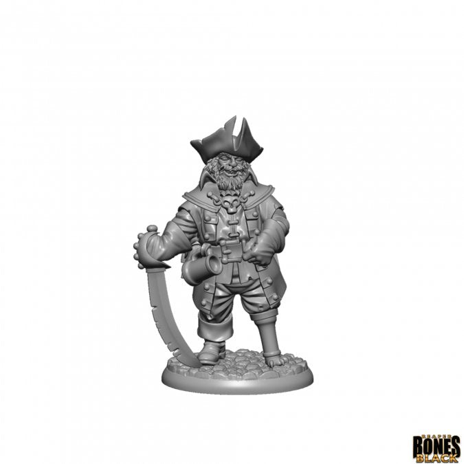 Reaper Legends: Ghost Pirate Captain | Dragon's Lair Comics and Fantasy Houston TX