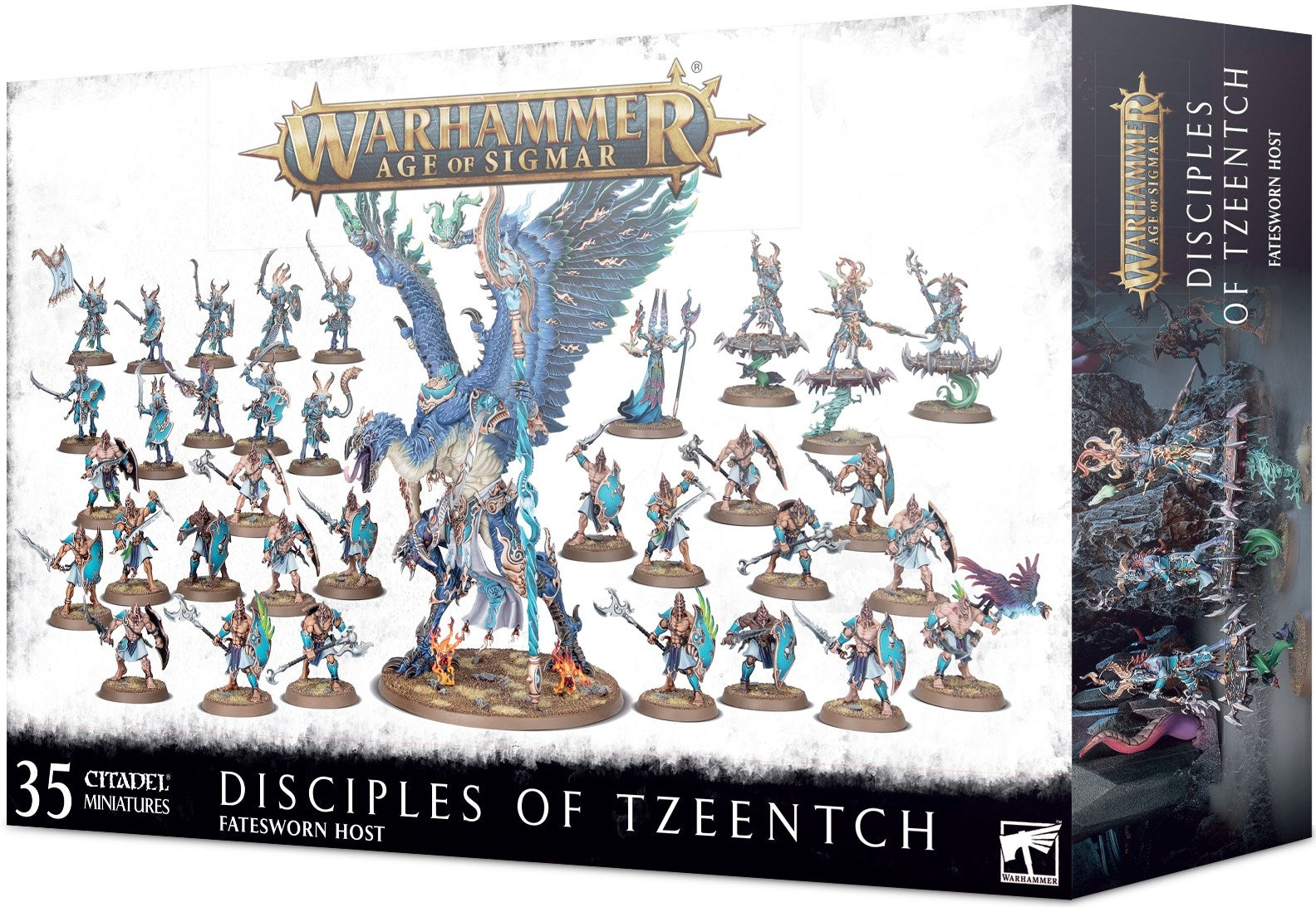 Image for Warhammer: Age of Sigmar - Disciples of Tzeentch: Fatesworn Host - Warhammer Box Sets | Dragon's Lair Comics and Fantasy Houston TX