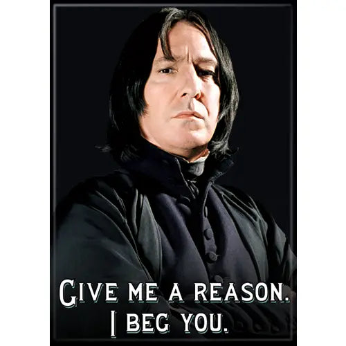 Harry Potter Snape I Beg You Magnet 2.5" X 3.5" | Dragon's Lair Comics and Fantasy Houston TX