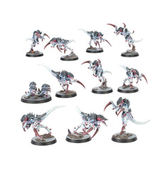 Warhammer Killteam: Typhon | Dragon's Lair Comics and Fantasy Houston TX