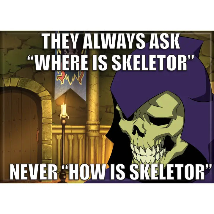 Masters of the Universe Never "How Is Skeletor Magnet | Dragon's Lair Comics and Fantasy Houston TX