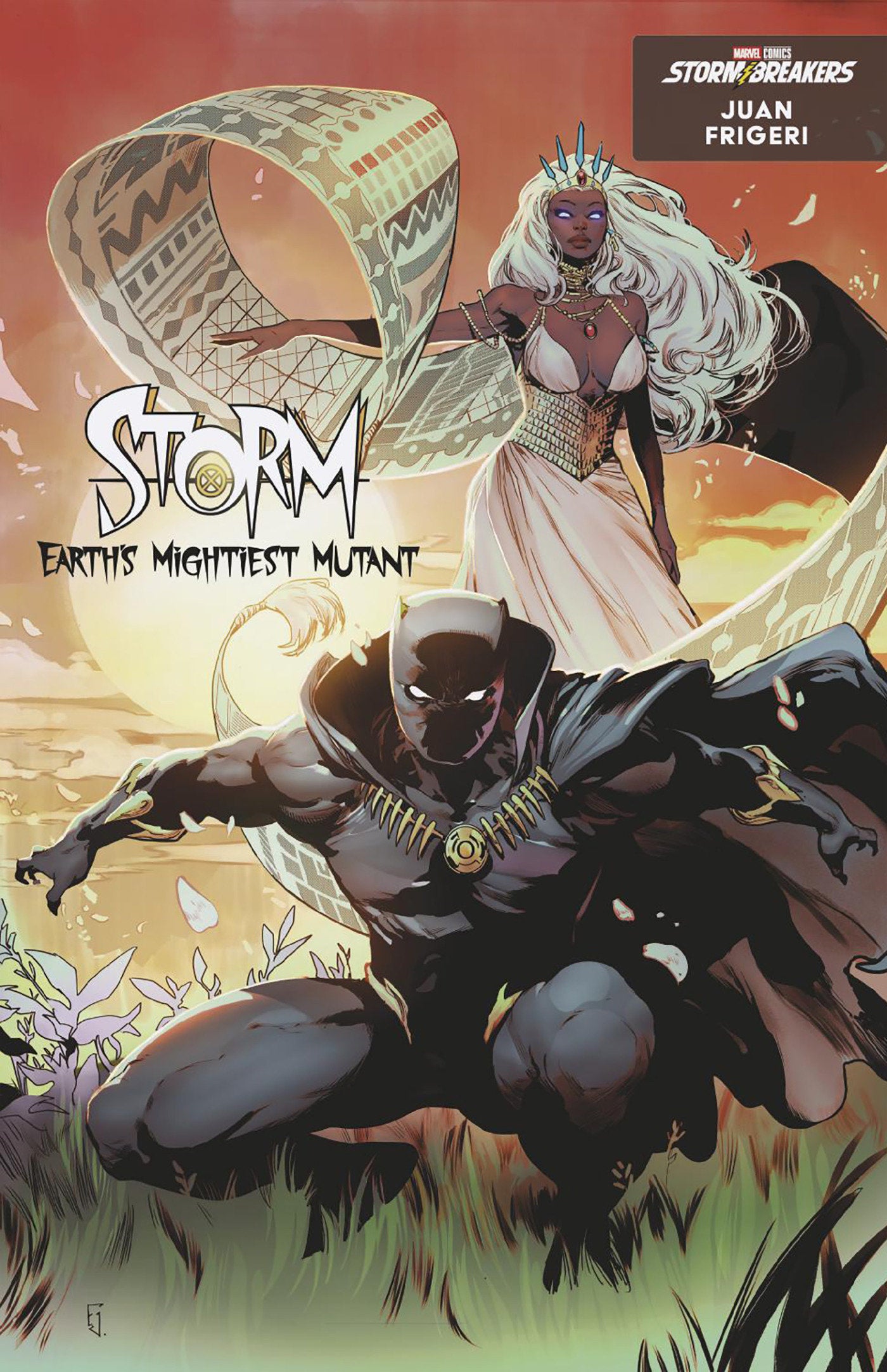 Storm: Earth's Mightiest Mutant #1 Juan Frigeri Black Panther Variant | Odin's Place