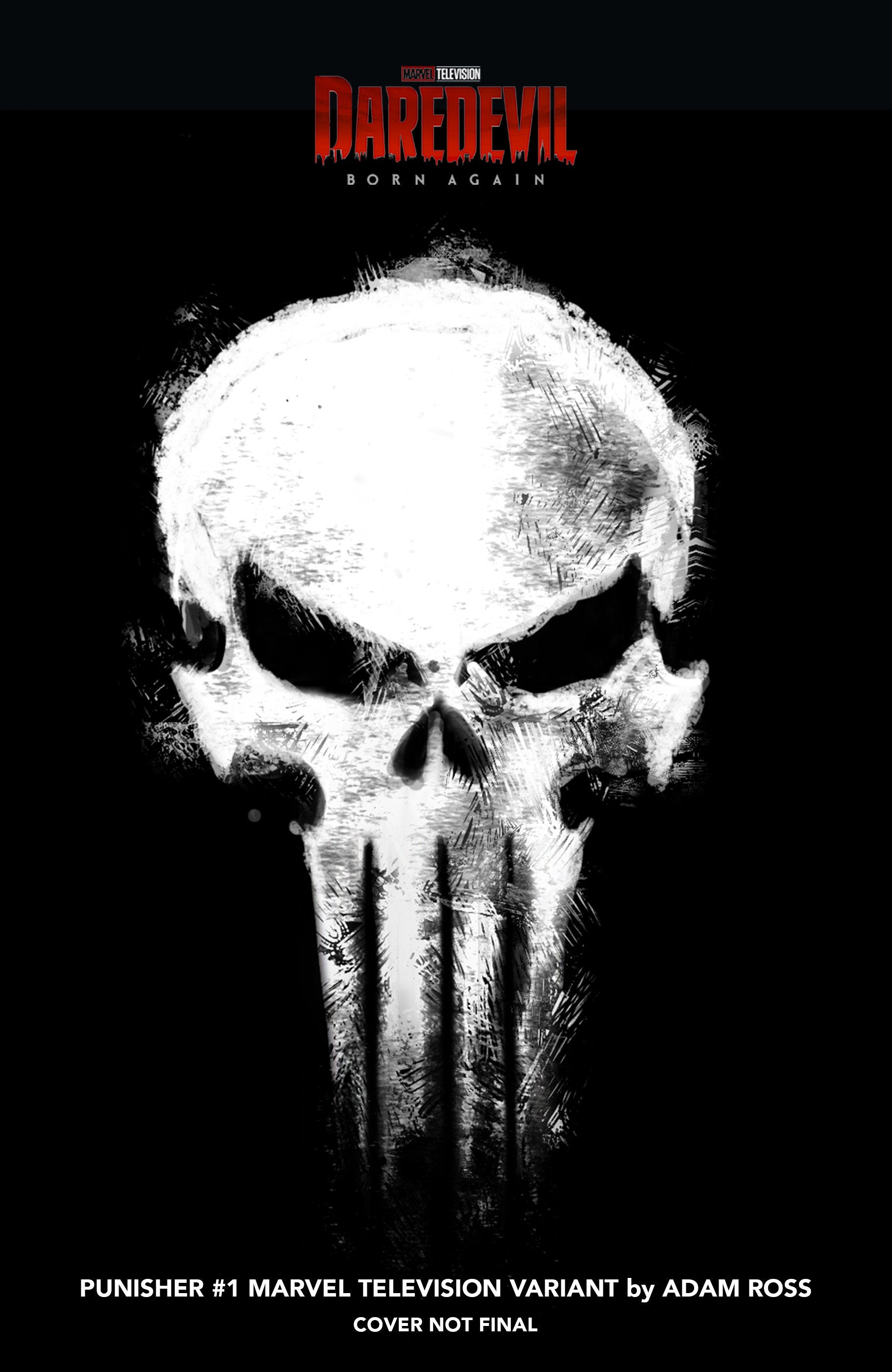 Punisher #1 Adam Ross Marvel Television Logo Variant | Odin's Place