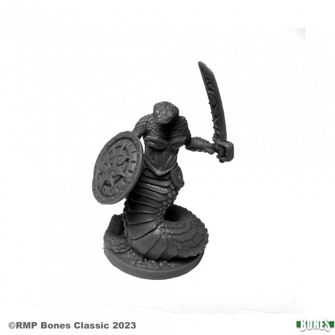Reaper Bones Dark Heaven: Nagendra Shieldmaiden | Dragon's Lair Comics and Fantasy Houston TX