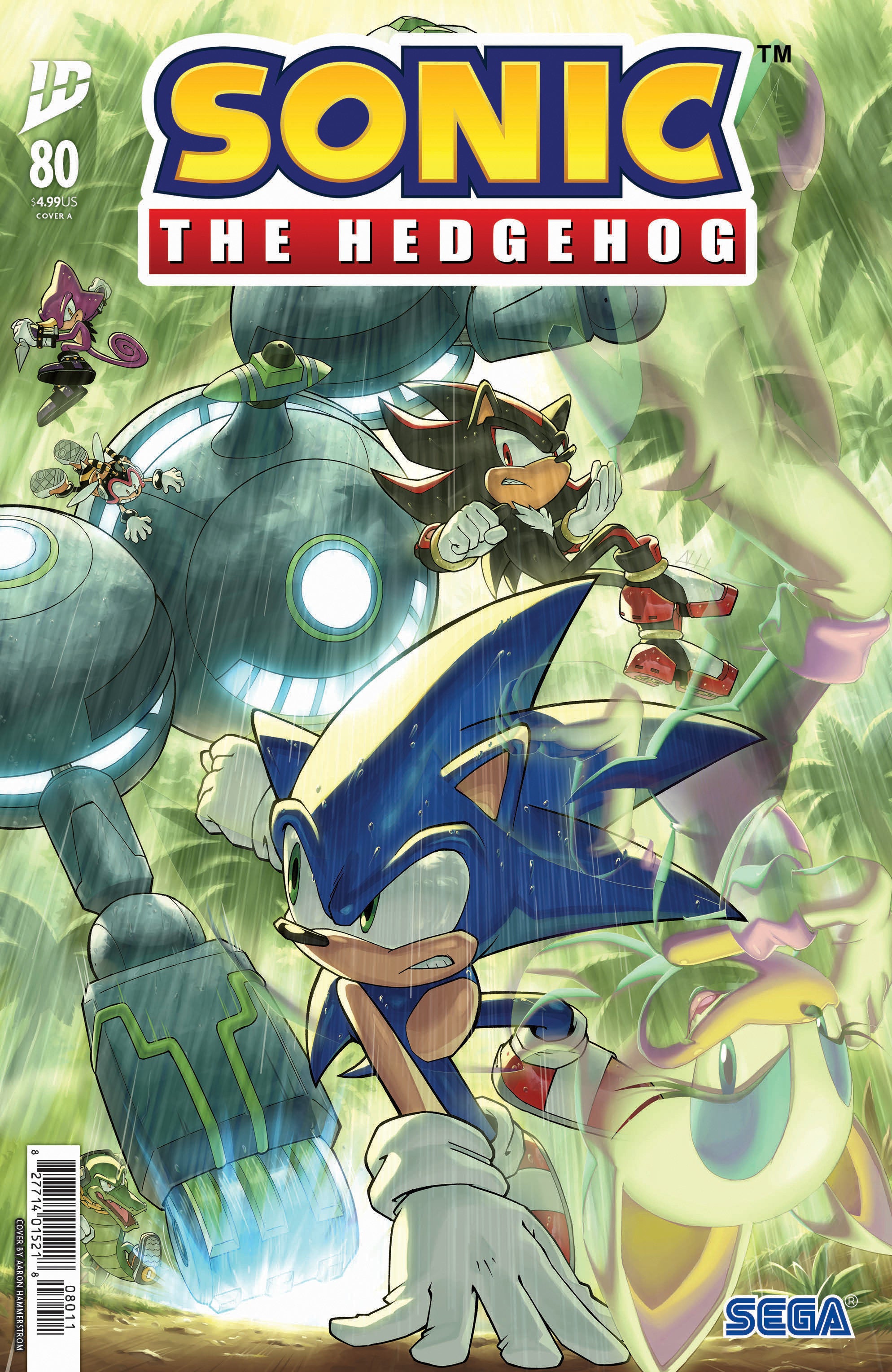 Sonic The Hedgehog #80 Cover A (Hammerstrom) | Dragon's Lair Comics and Fantasy Houston TX