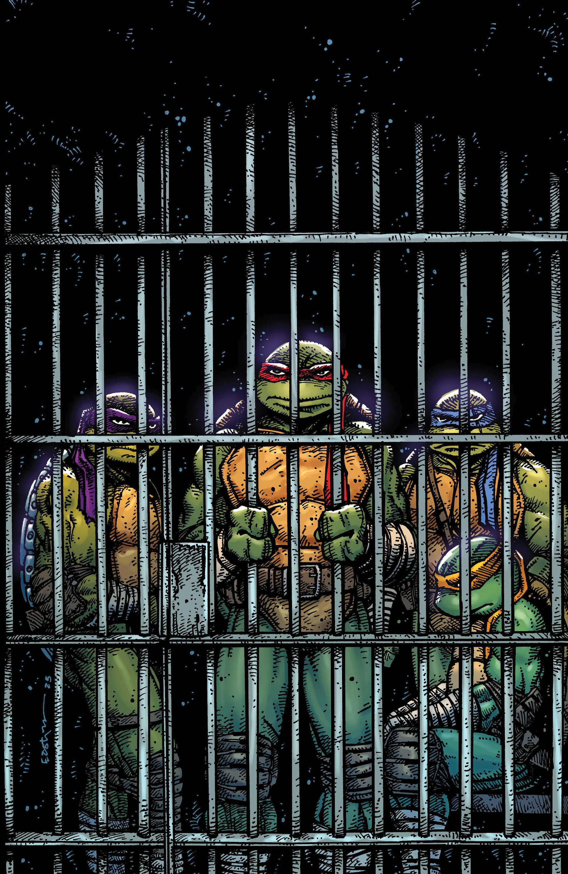 Teenage Mutant Ninja Turtles #11 Variant Ri (10) (Eastman Full Art) | Dragon's Lair Comics and Fantasy Houston TX
