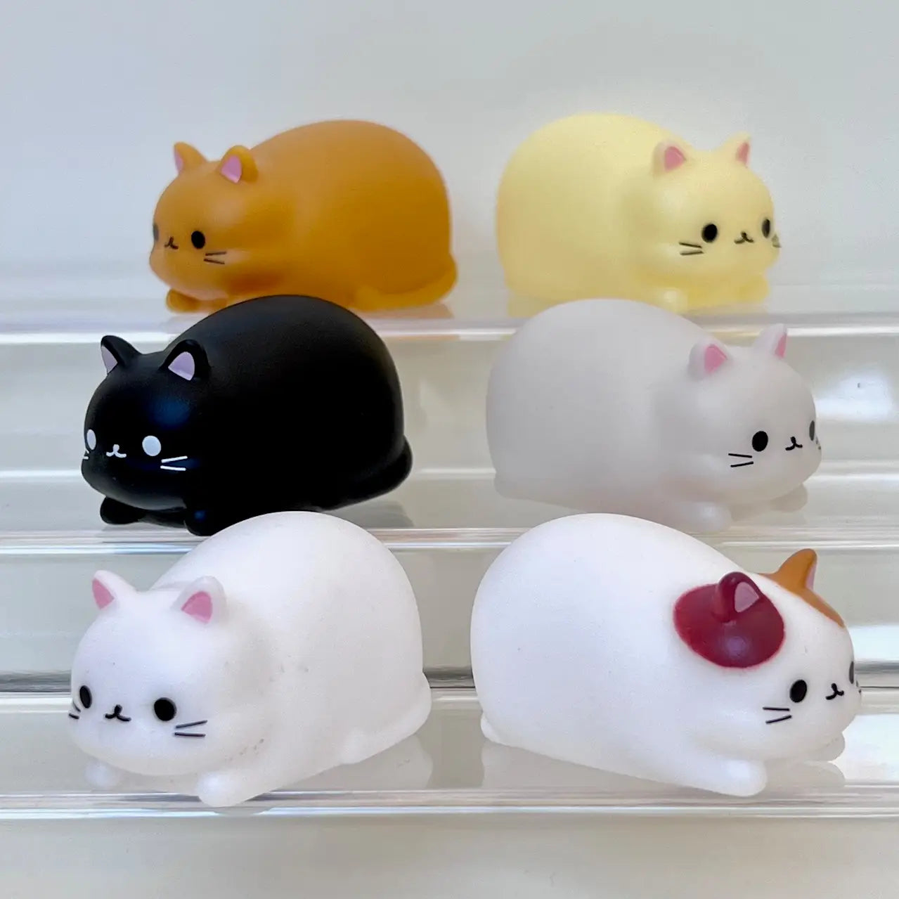 Laying Down Cats | Dragon's Lair Comics and Fantasy Houston TX