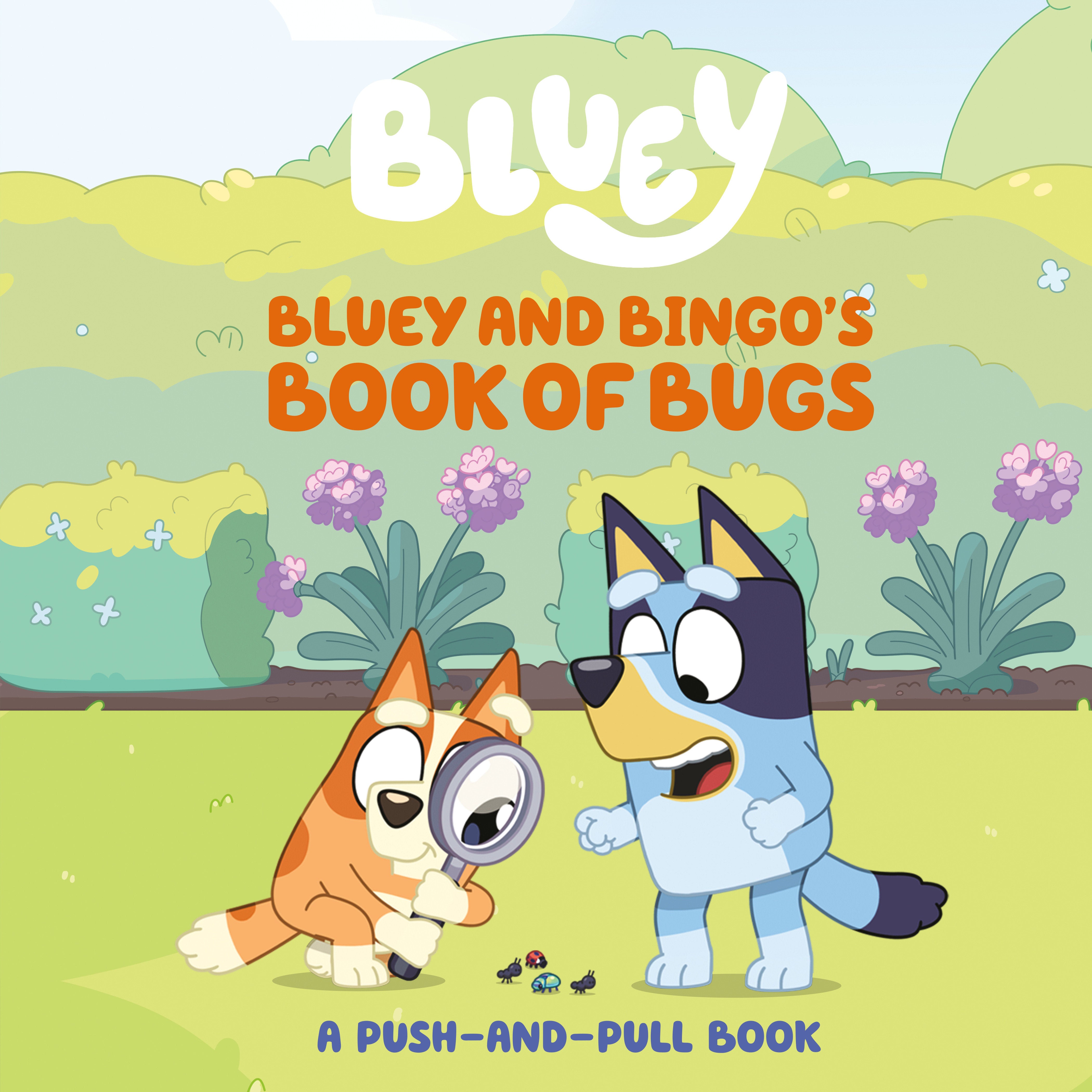 Bluey And Bingo'S Book Of Bugs | Dragon's Lair Comics and Fantasy Houston TX