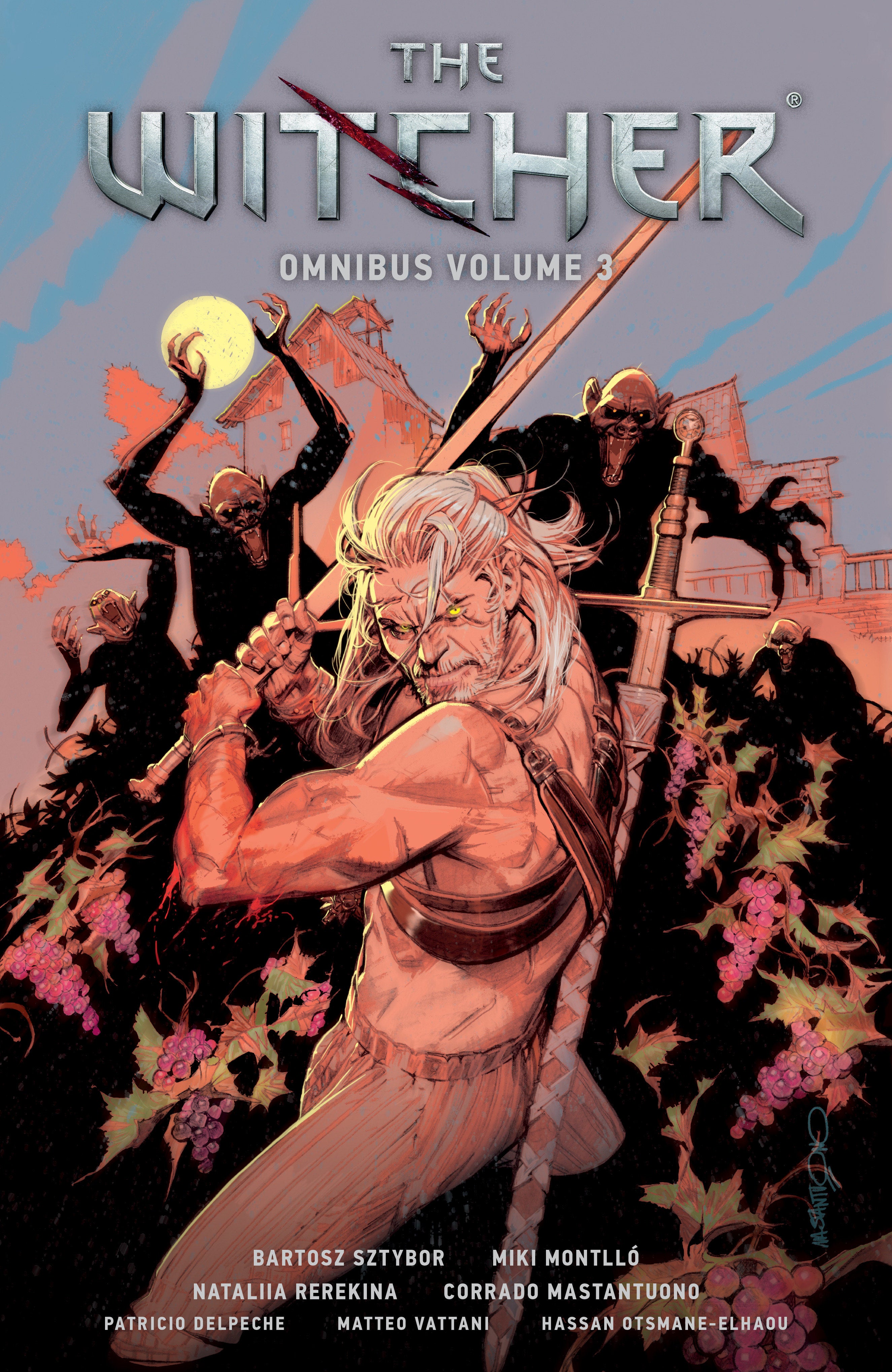 The Witcher Omnibus Volume 3 | Odin's Place