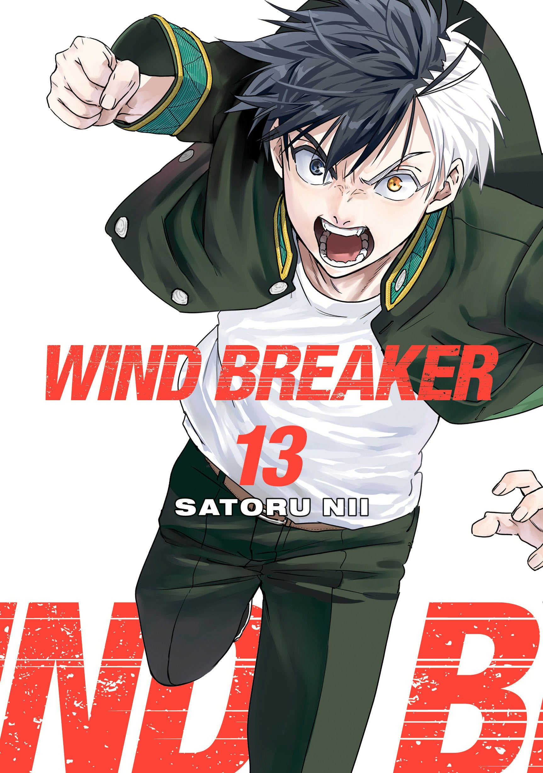 Wind Breaker 13 | Dragon's Lair Comics and Fantasy Houston TX