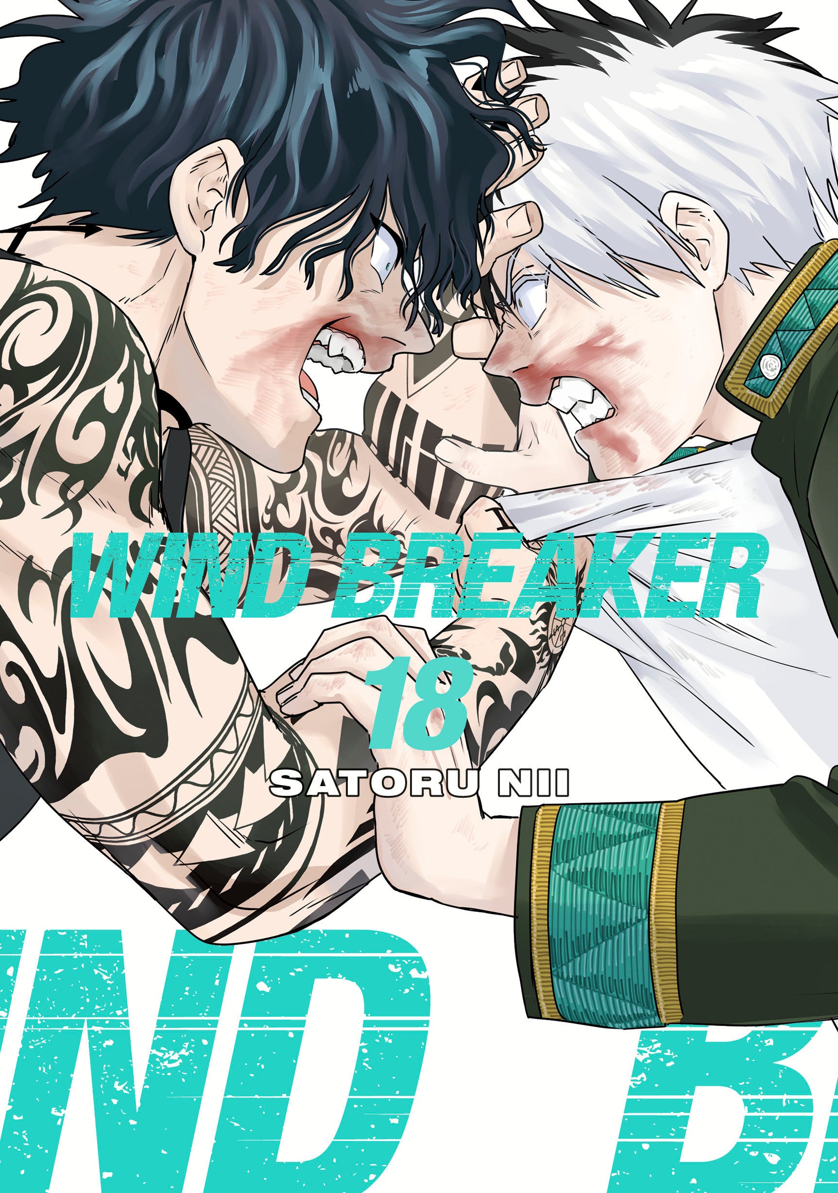 Wind Breaker 18 | Odin's Place