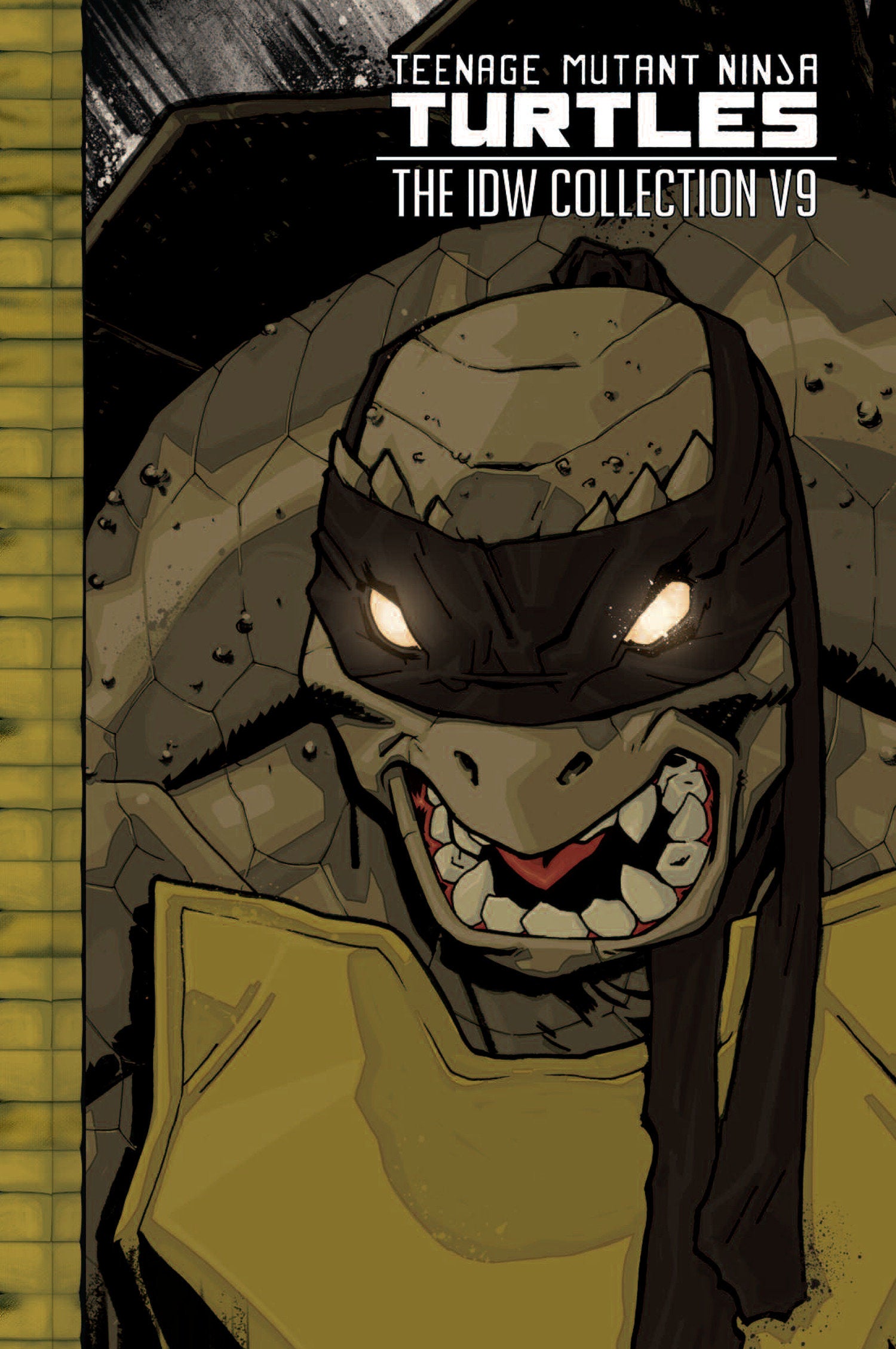 Teenage Mutant Ninja Turtles: The Idw Collection Volume 9 | Odin's Place