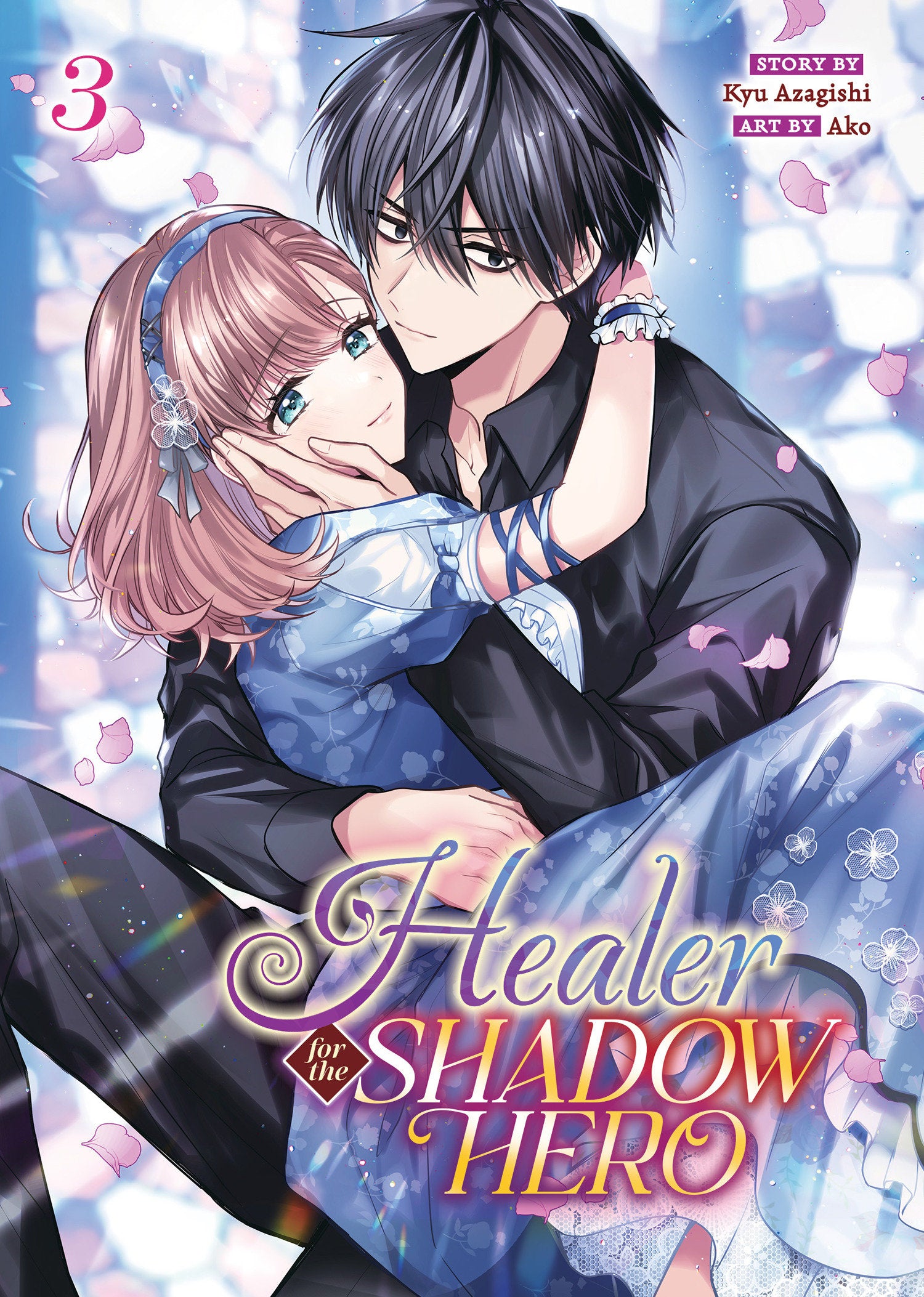 Healer For The Shadow Hero (Manga) Volume. 3 | Dragon's Lair Comics and Fantasy Houston TX