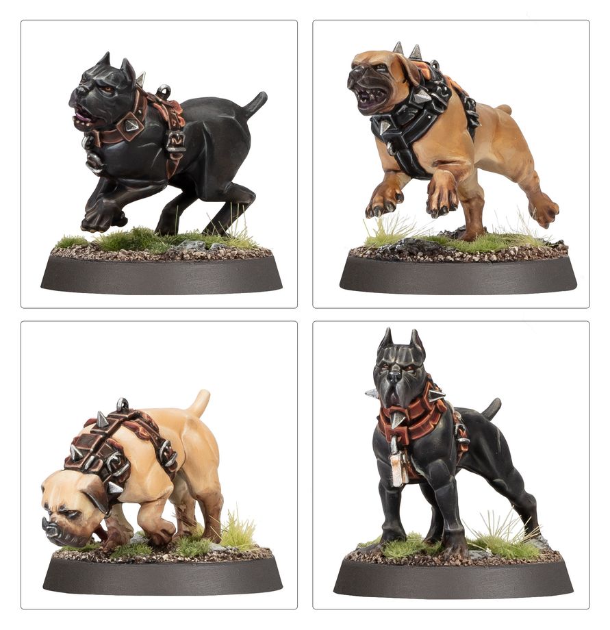 Warhammer Age of Sigmar: Regiment of Renown: Ven Denst's Hounds | Odin's Place
