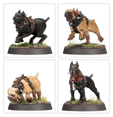 Warhammer Age of Sigmar: Regiment of Renown: Ven Denst's Hounds | Odin's Place