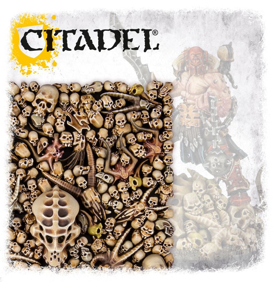 Citadel Skulls | Dragon's Lair Comics and Fantasy Houston TX