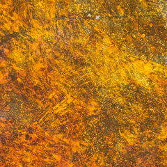 Dirty Down Water Soluble Paints / Effects Liquids - Various Colors | Odin's Place