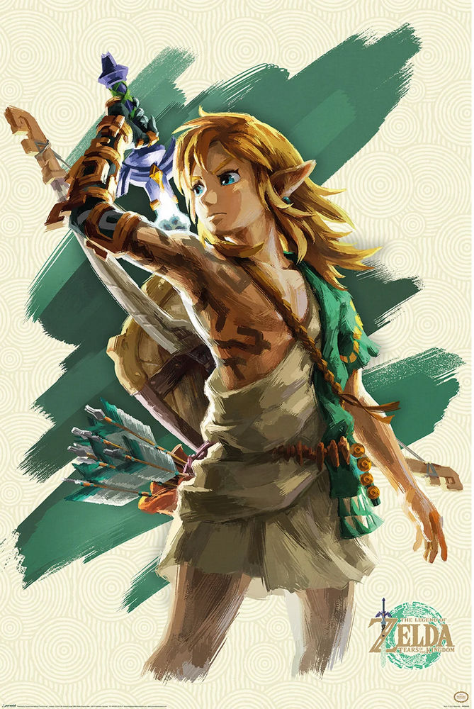 Poster: Legend of Zelda Link Unleashed | Odin's Place