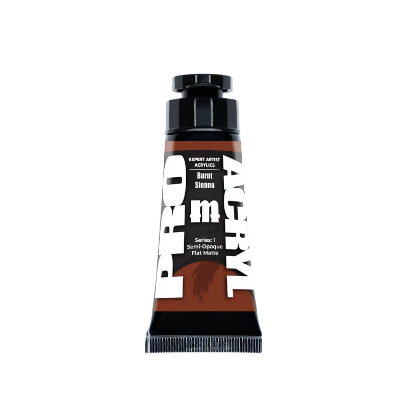 Pro Acryl: Expert Acrylics 010 Burnt Sienna | Odin's Place