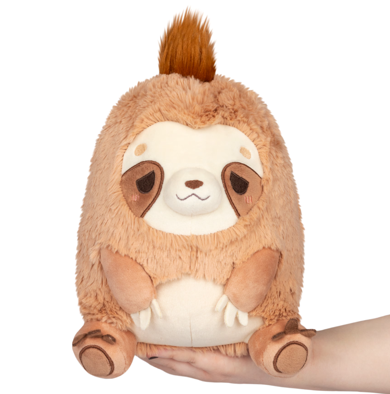 Squishable Mini Sleepy Sloth | Dragon's Lair Comics and Fantasy Houston TX
