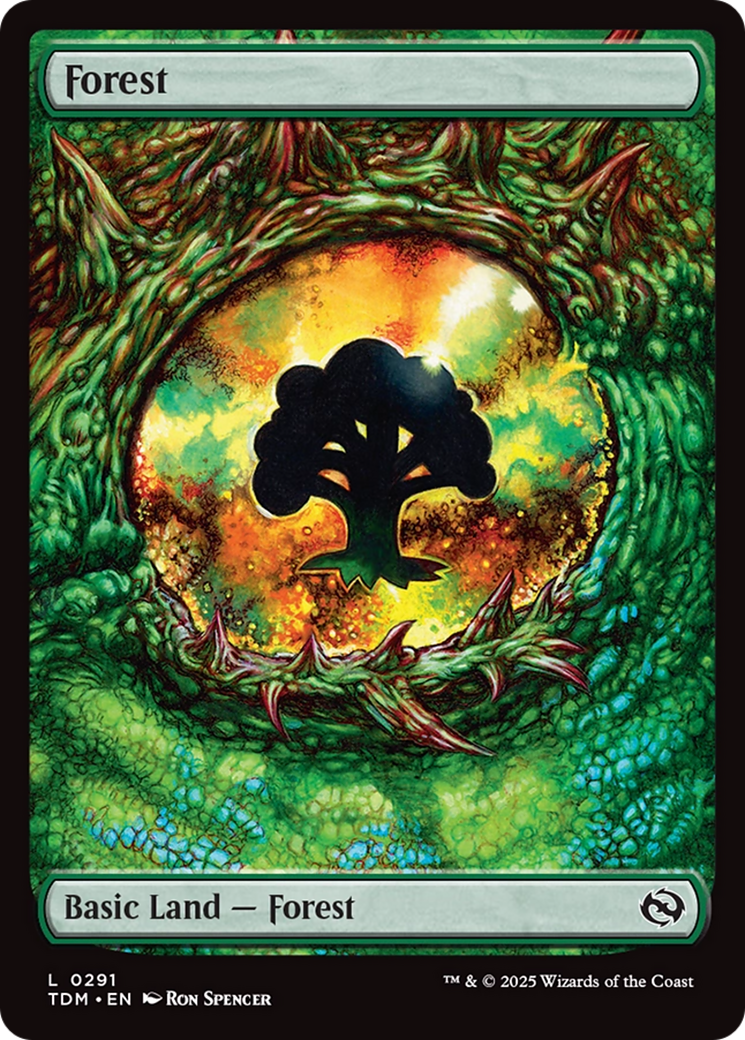 Forest (0291) [Tarkir: Dragonstorm] | Dragon's Lair Comics and Fantasy Houston TX