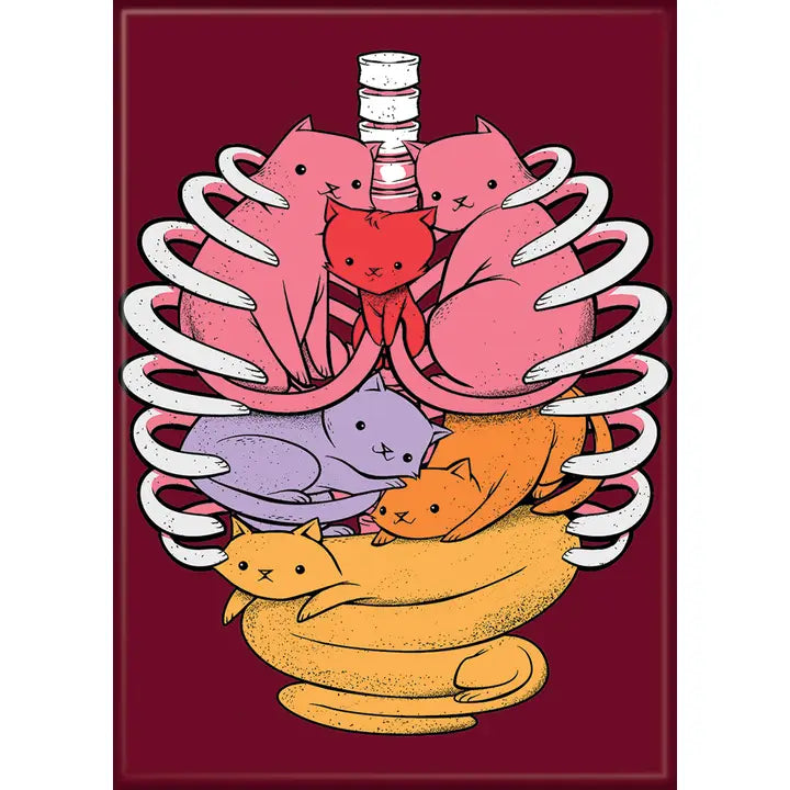T. Fonseca Anatomicat Magnet | Dragon's Lair Comics and Fantasy Houston TX