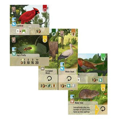 Forest Shuffle Exploration | Dragon's Lair Comics and Fantasy Houston TX
