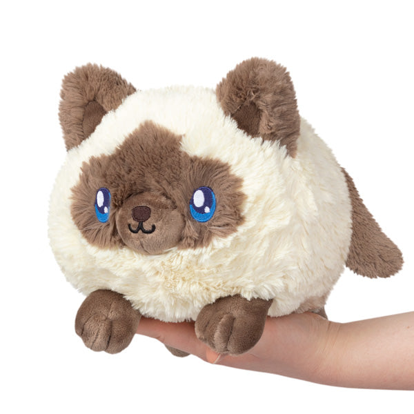 Squishable Mini Colorpoint Kitty | Dragon's Lair Comics and Fantasy Houston TX