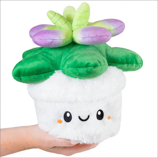 Squishable Mini Succulent | Dragon's Lair Comics and Fantasy Houston TX