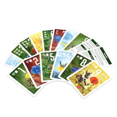 Pixies: Flower Power | Dragon's Lair Comics and Fantasy Houston TX