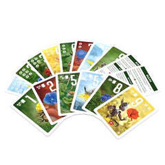 Pixies: Flower Power | Dragon's Lair Comics and Fantasy Houston TX