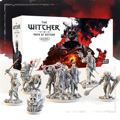 The Witcher: Path of Destiny - Wild Hunt | Dragon's Lair Comics and Fantasy Houston TX