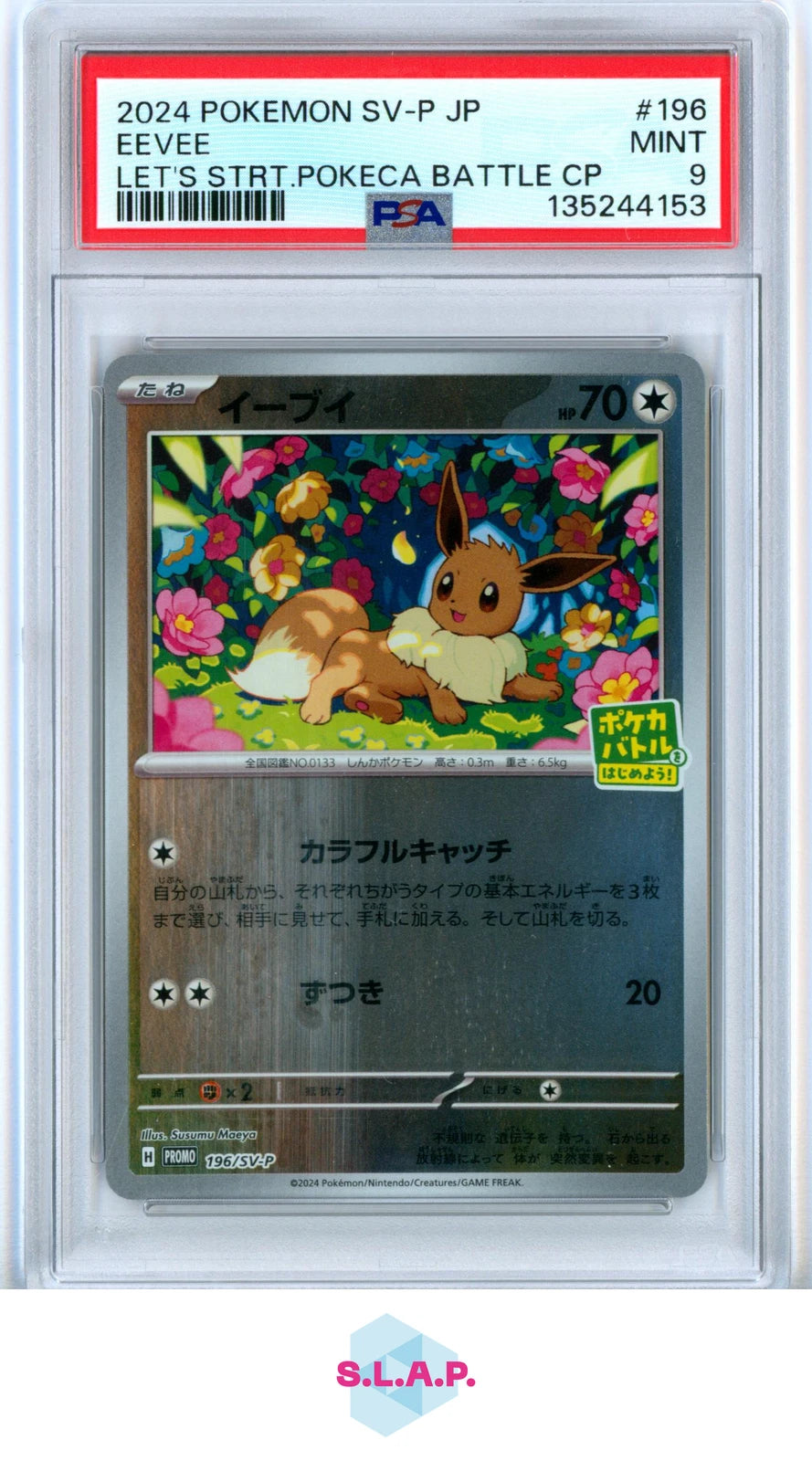 Eevee (196) Japanese [Let's Start Card Battle] ASG 9 | Odin's Place