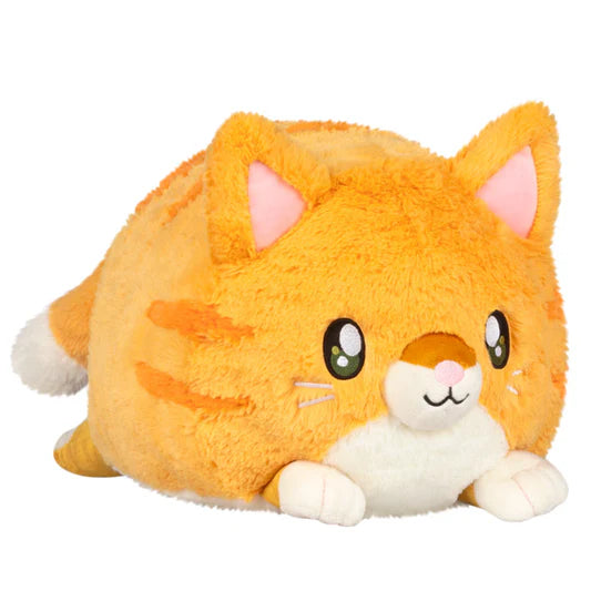 Squishable Kitty | Odin's Place