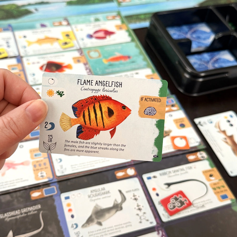 Finspan: Sharks & Reefs Expansion | Odin's Place