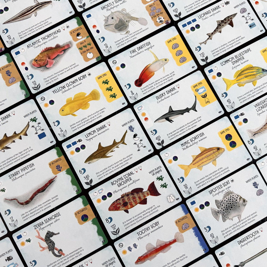 Finspan: Sharks & Reefs Expansion | Odin's Place