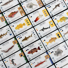 Finspan: Sharks & Reefs Expansion | Odin's Place
