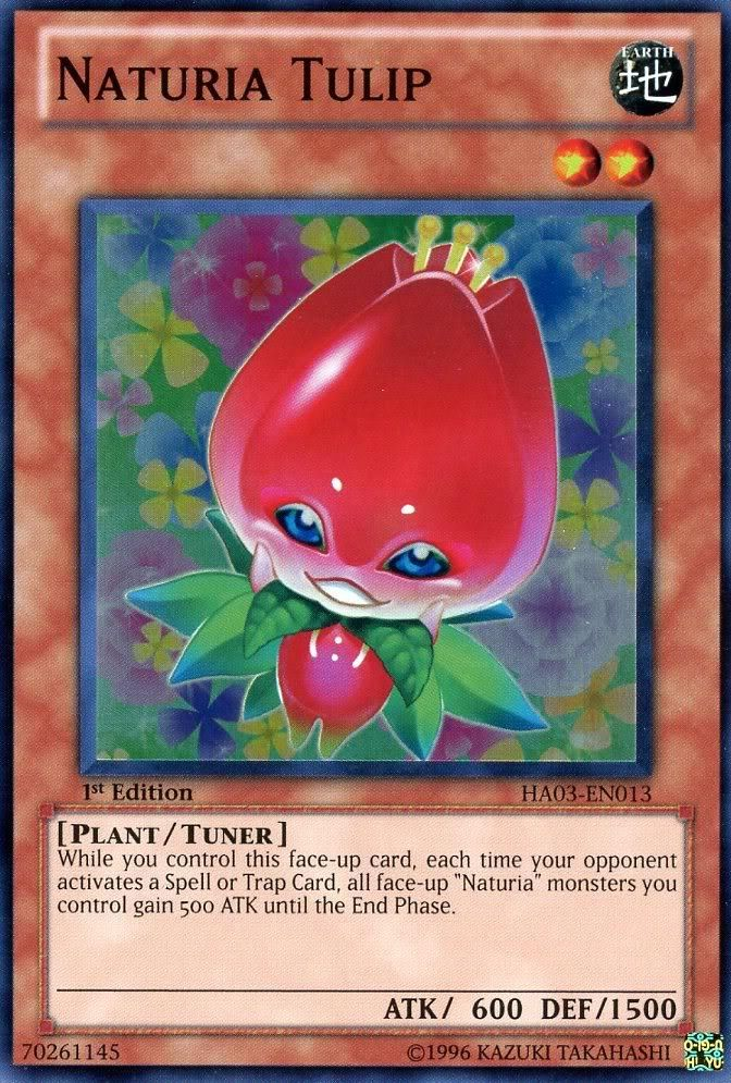 Naturia Tulip [HA03-EN013] Super Rare | Dragon's Lair Comics and Fantasy Houston TX