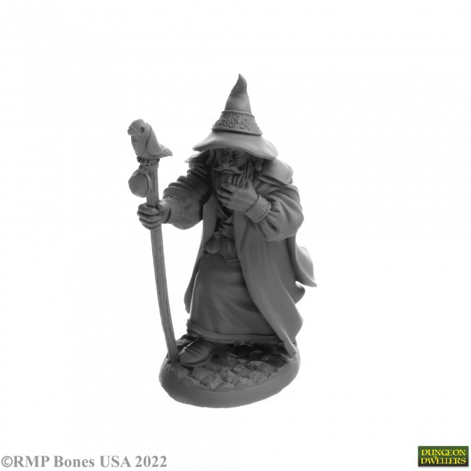 Reaper Bones: Landol Griwsold, Human Wizard | Dragon's Lair Comics and Fantasy Houston TX